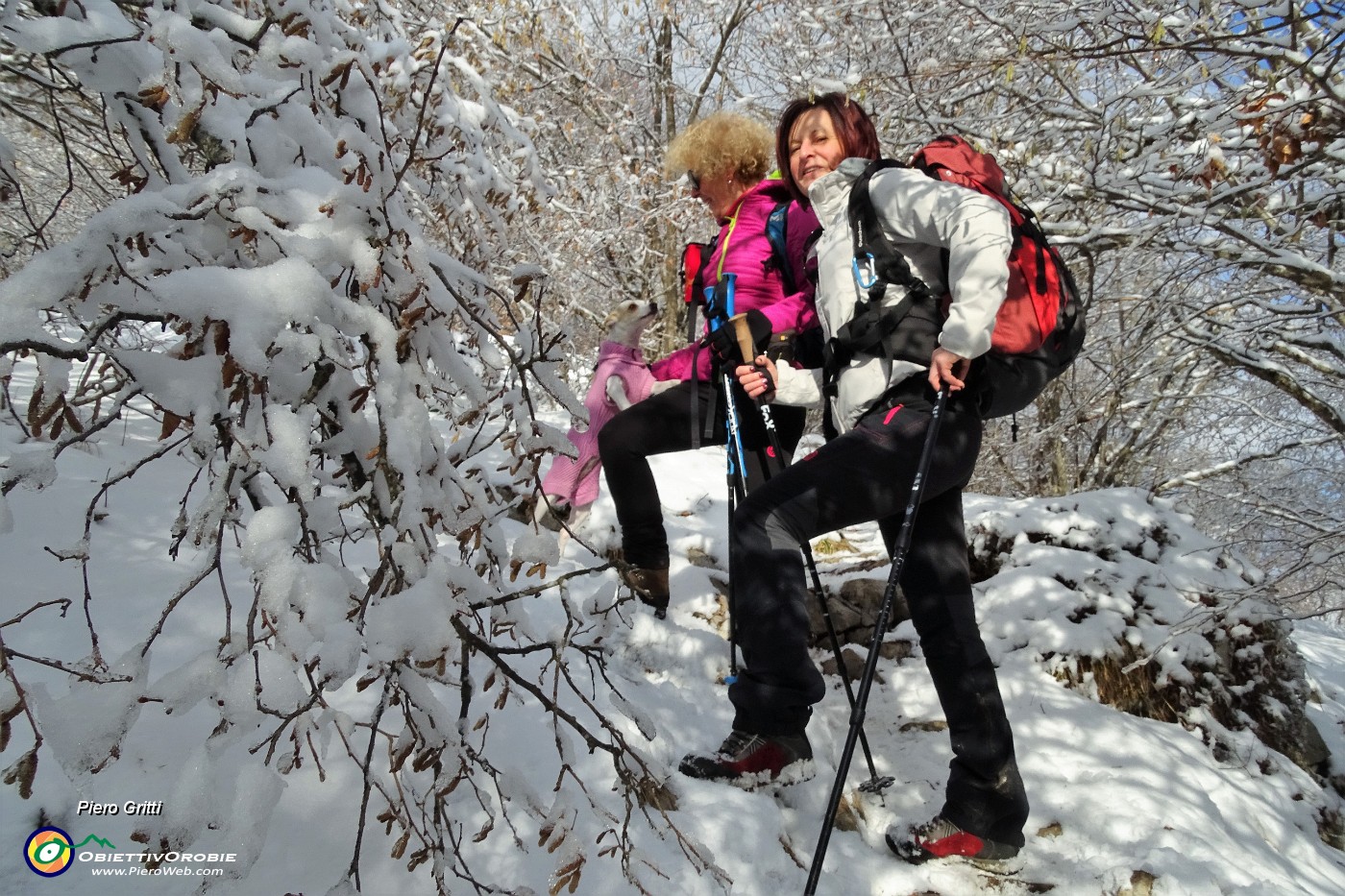 38 e il bosco si veste di bianco anche sulle piante !.JPG